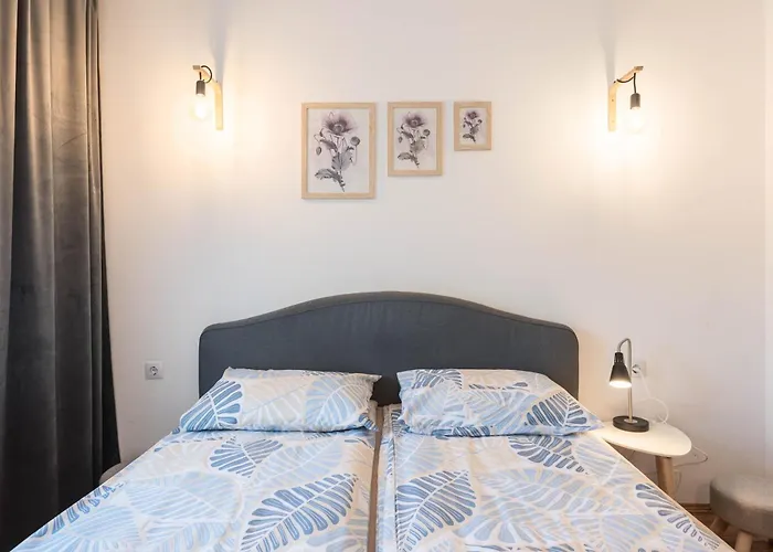 Comfort & Vibes * Варна